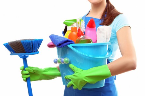 Deep cleaning tasks for kitchens, bathrooms and living areas