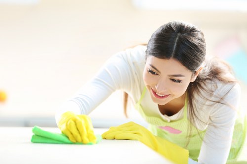 Deep carpet cleaning equipment used in a Shoreditch home