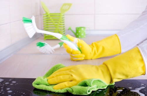 Eco-friendly house cleaning in Shoreditch