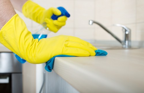 Grease removal during oven cleaning in Shoreditch